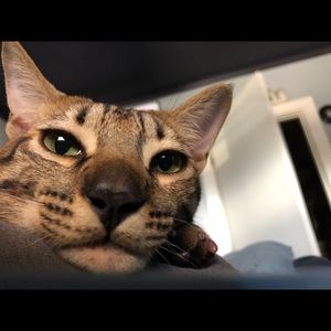 Meet your Posher, Christopher